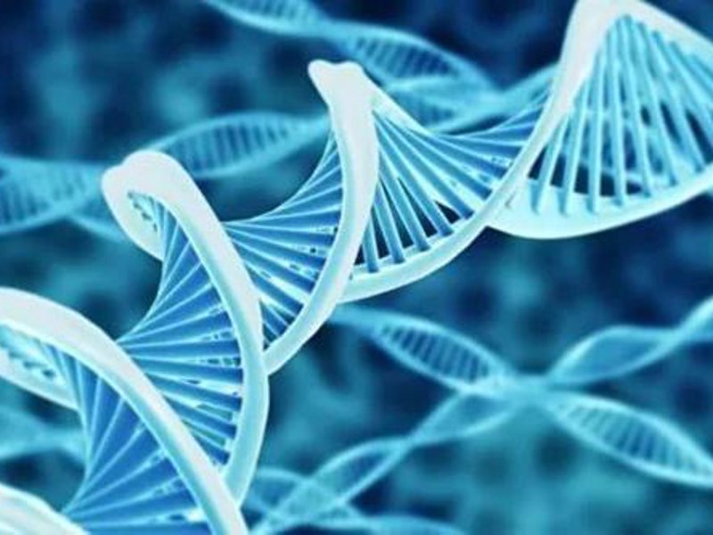 蛋白质组学：解读生命密码的新篇章